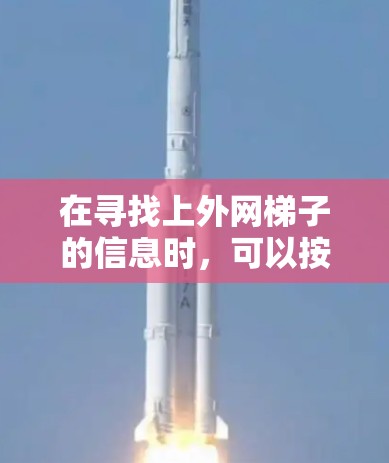 在寻找上外网梯子的信息时，可以按照以下步骤进行
