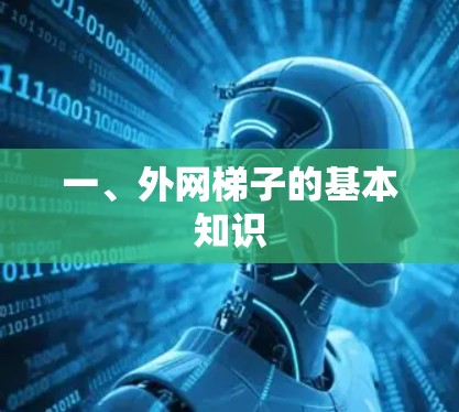 一、外网梯子的基本知识