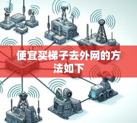 便宜买梯子去外网的方法如下