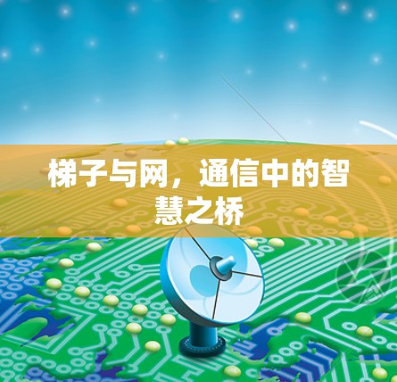 梯子与网，通信中的智慧之桥