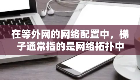 在等外网的网络配置中，梯子通常指的是网络拓扑中的连接结构，具体包括以下几点