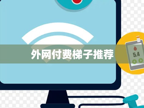 外网付费梯子推荐