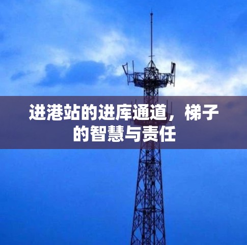 进港站的进库通道，梯子的智慧与责任