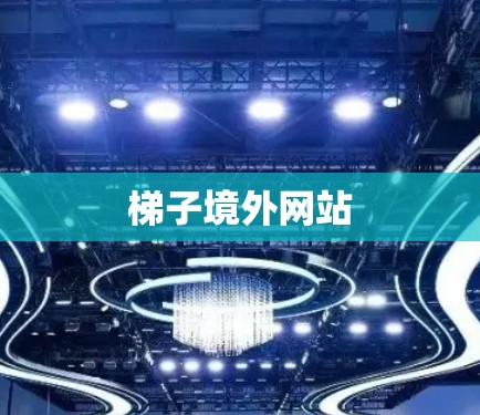 梯子境外网站