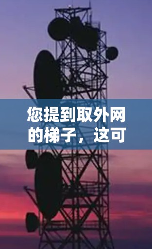 您提到取外网的梯子，这可能有两种理解