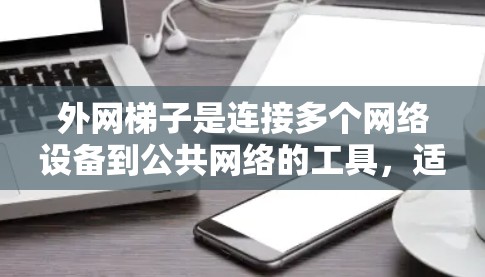 外网梯子是连接多个网络设备到公共网络的工具，适用于手机、电脑和路由器等设备。以下是使用外网梯子的详细步骤和教程