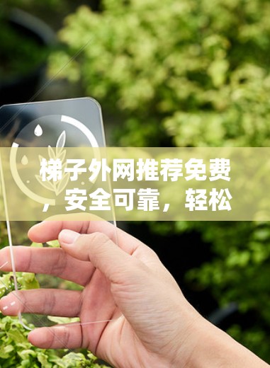 梯子外网推荐免费，安全可靠，轻松安放