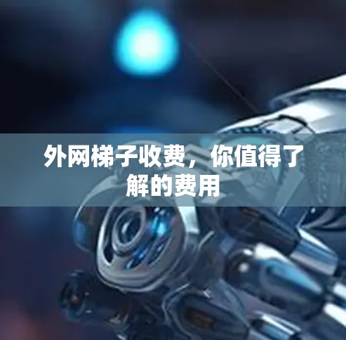 外网梯子收费，你值得了解的费用