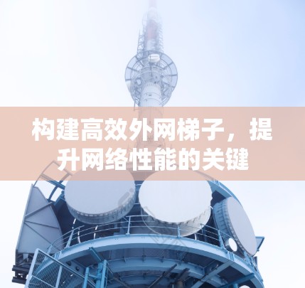 构建高效外网梯子，提升网络性能的关键
