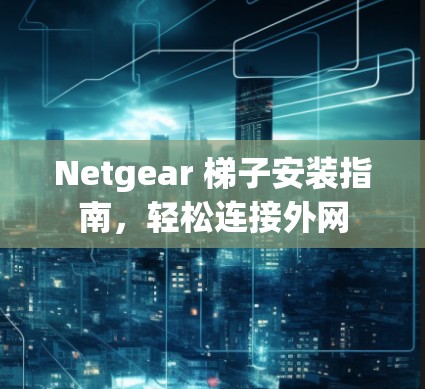 Netgear 梯子安装指南，轻松连接外网