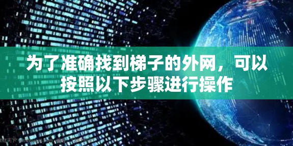 为了准确找到梯子的外网，可以按照以下步骤进行操作