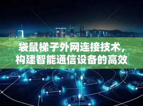 袋鼠梯子外网连接技术，构建智能通信设备的高效连接之道