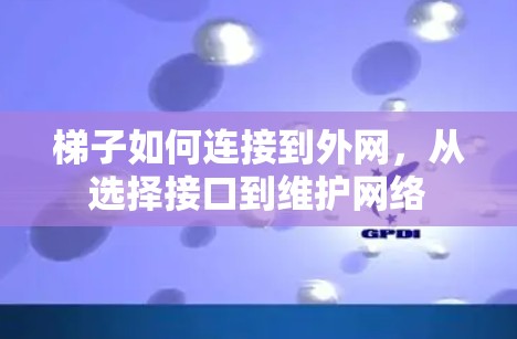 梯子如何连接到外网，从选择接口到维护网络
