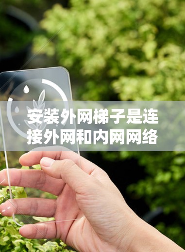 安装外网梯子是连接外网和内网网络设备的重要工具，以下是一步步的指南