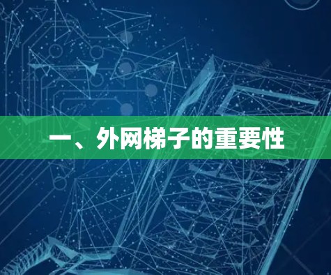 一、外网梯子的重要性