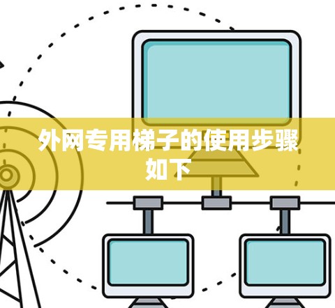 外网专用梯子的使用步骤如下