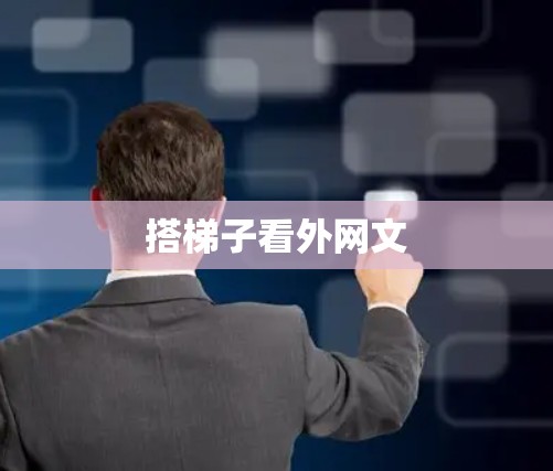 搭梯子看外网文