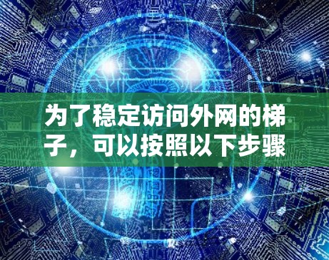 为了稳定访问外网的梯子，可以按照以下步骤进行检查和调整