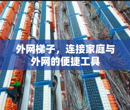 外网梯子，连接家庭与外网的便捷工具