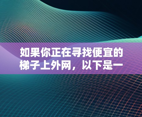 如果你正在寻找便宜的梯子上外网，以下是一些性价比较高的品牌和产品推荐