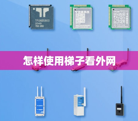 怎样使用梯子看外网