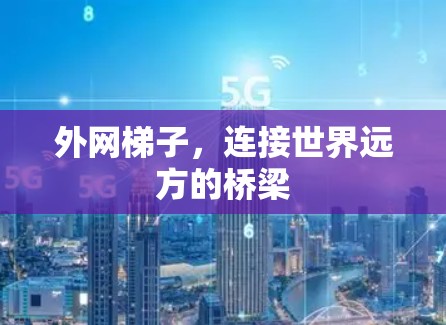 外网梯子，连接世界远方的桥梁
