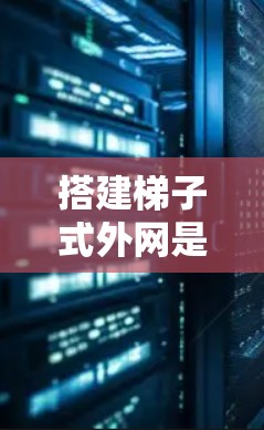 搭建梯子式外网是一个涉及建筑、结构和材料科学的复杂过程，以下是分步骤的指南