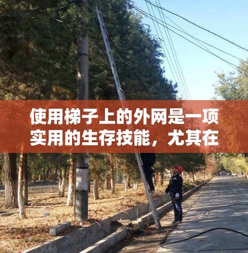 使用梯子上的外网是一项实用的生存技能，尤其在家庭和办公室环境中。以下是对使用梯子上外网的详细指南