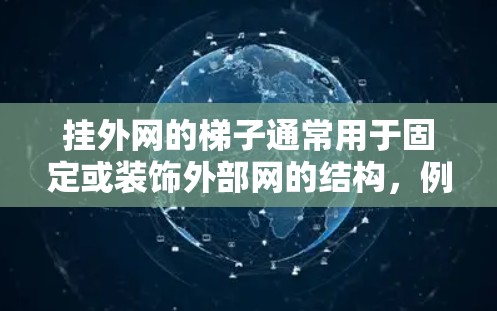 挂外网的梯子通常用于固定或装饰外部网的结构，例如屋顶或阳台。以下是一些步骤和注意事项，帮助您完成外网的安装