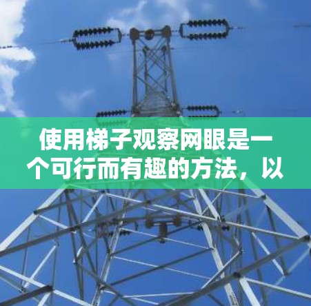 使用梯子观察网眼是一个可行而有趣的方法，以下是一步步的指南