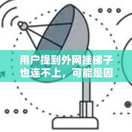 用户提到外网挂梯子也连不上，可能是因为外网设备的问题。以下是一些建议，帮助您解决问题