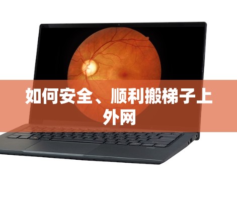 如何安全、顺利搬梯子上外网