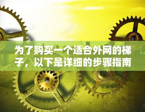 为了购买一个适合外网的梯子，以下是详细的步骤指南