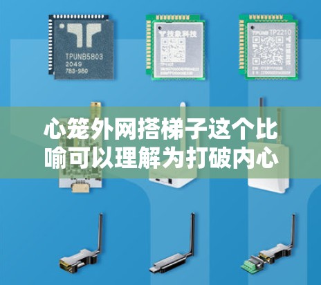 心笼外网搭梯子这个比喻可以理解为打破内心的束缚，释放压力或限制。心笼指的是内心的牢笼或束缚，网则是某种保护或限制的方式，而搭梯子则是通过一种方式将束缚释放出来，类似于通过梯子式的手段来打破内心的限制