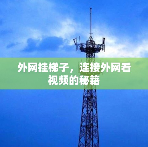 外网挂梯子，连接外网看视频的秘籍