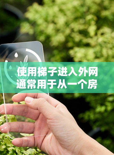 使用梯子进入外网通常用于从一个房间进入另一个房间的外网，通常需要从一个有门的房间（如客厅、卧室等）进入另一个房间的外网。以下是一些基本步骤和注意事项，帮助您使用梯子进入外网