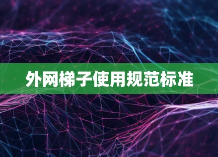 外网梯子使用规范标准