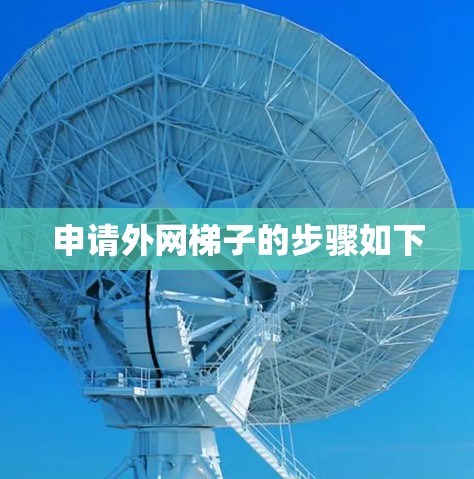 申请外网梯子的步骤如下