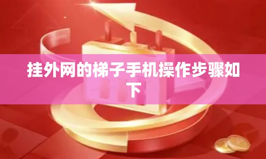 挂外网的梯子手机操作步骤如下