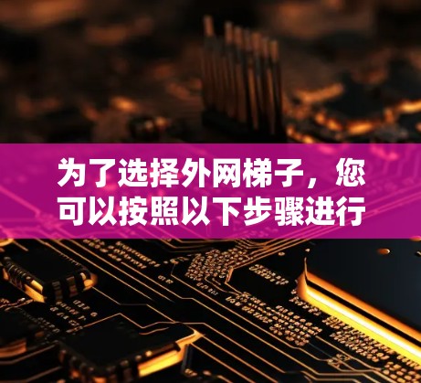 为了选择外网梯子，您可以按照以下步骤进行
