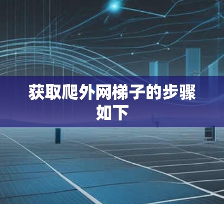 获取爬外网梯子的步骤如下