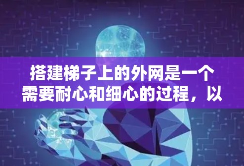 搭建梯子上的外网是一个需要耐心和细心的过程，以下是一个清晰的步骤指南