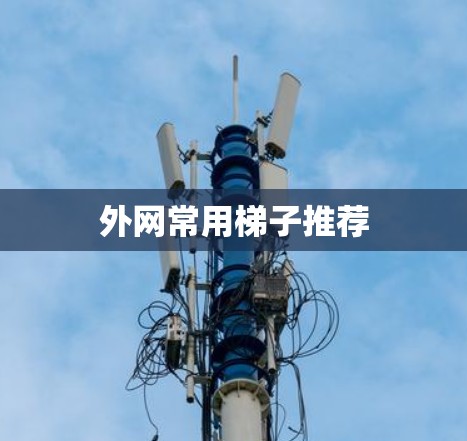 外网常用梯子推荐