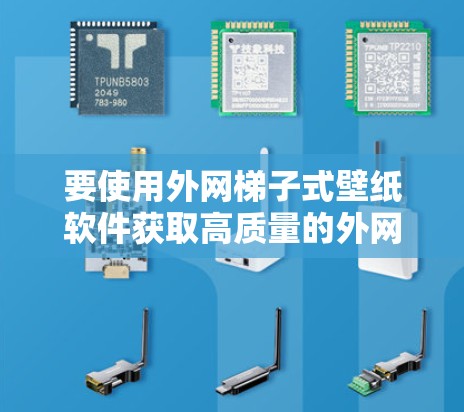 要使用外网梯子式壁纸软件获取高质量的外网壁纸，可以按照以下步骤进行