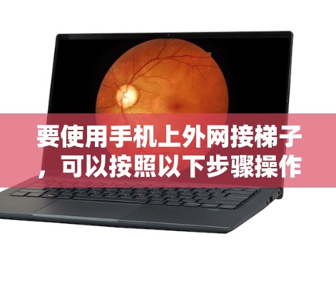 要使用手机上外网接梯子，可以按照以下步骤操作
