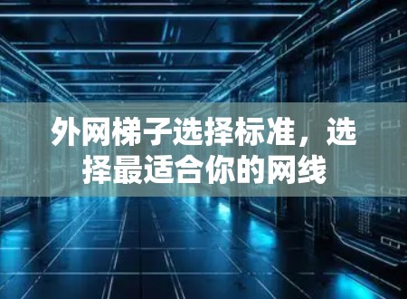 外网梯子选择标准，选择最适合你的网线