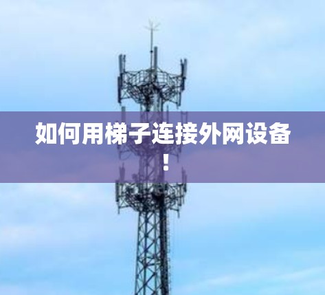 如何用梯子连接外网设备！