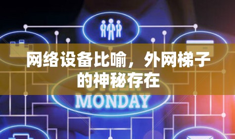 网络设备比喻，外网梯子的神秘存在