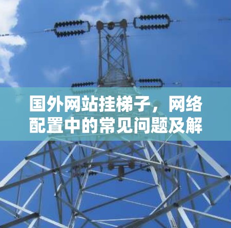 国外网站挂梯子，网络配置中的常见问题及解决方案