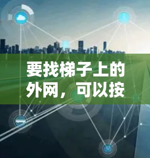 要找梯子上的外网，可以按照以下步骤进行
